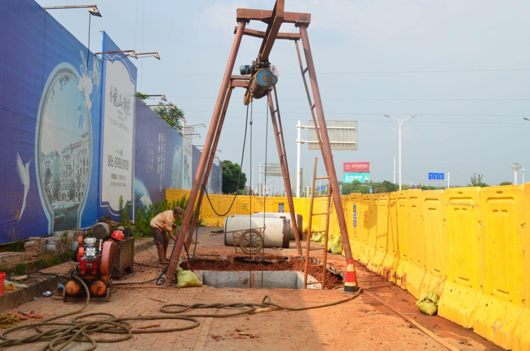 龍山湖苑最新動(dòng)態(tài)揭秘，巷弄深處的獨(dú)特小店等你來探索！