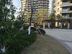 溫州金海首府最新動(dòng)態(tài)及相關(guān)論述揭秘